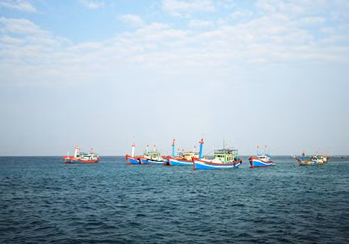 Đà Nẵng: Sẽ có trường THCS mang tên Hoàng Sa