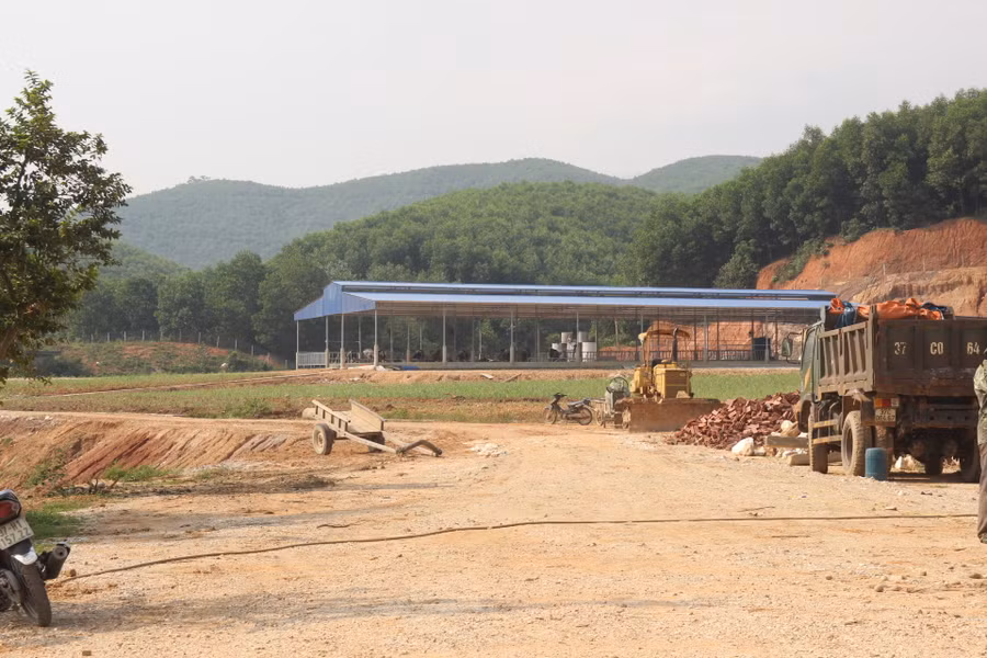 Đồi Triệu nay đã được cải tạo, trồng keo và xây dựng trang trại bò sữa
