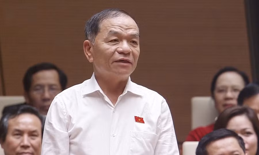 Đại biểu Lê Thanh Vân (đoàn Cà Mau)