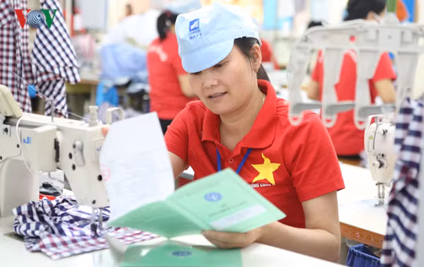 no dong bhxh, bhyt: doanh nghiep chay y, luat phap chua nghiem hinh 1