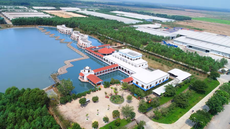 Trang trại bò sữa Tây Ninh có quy mô 8.000 bò bê với tổng vốn đầu tư ban đầu lên đến 1.200 tỷ đồng Trang trại bò sữa Tây Ninh có quy mô 8.000 bò bê với tổng vốn đầu tư ban đầu lên đến 1.200 tỷ đồng