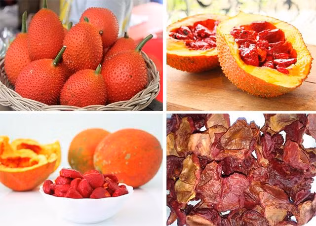 Cách làm dầu gấc nguyên chất dưỡng da tại nhà cực đơn giản ảnh 2 Cách làm dầu gấc nguyên chất dưỡng da tại nhà cực đơn giản ảnh 2