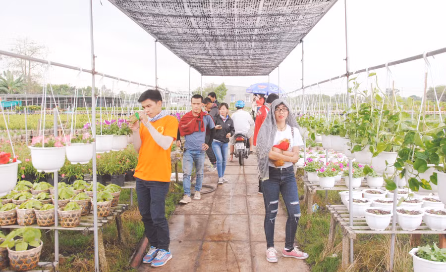 Sa Đéc đánh thức tiềm năng du lịch