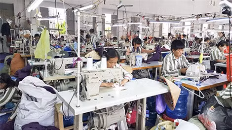 Các phạm nhân nữ đang cải tạo lao động ở trại giam số 5.