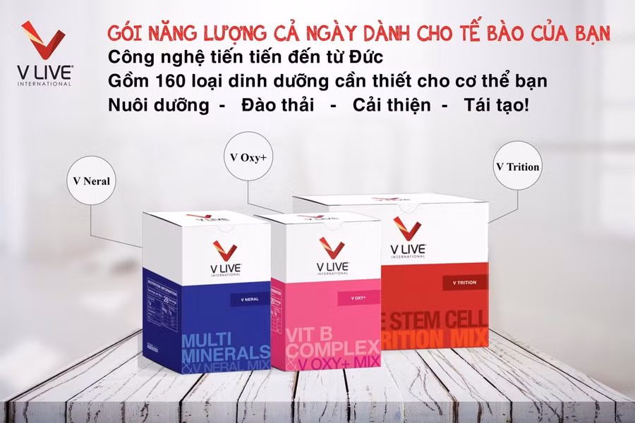 Sản phẩm của Công ty Wise Corridor Việt Nam.