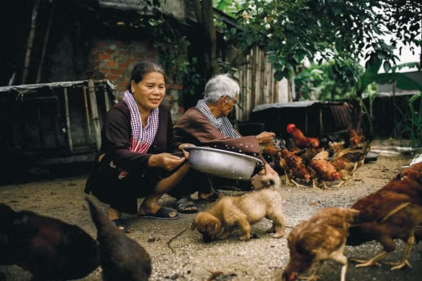 Tính đến nay, vợ chồng ông Tình đã có hơn 20 năm hạnh phúc. Quà cưới của cụ ông 73 tuổi và vợ hai sau hơn 20 năm ngày cưới