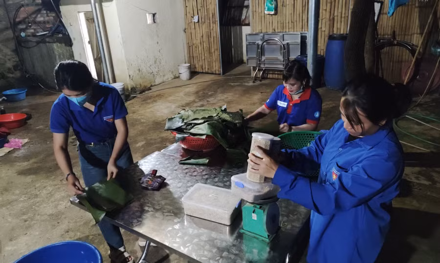 Chia các tổ để đồ xôi chuẩn bị bữa sáng cho trò.