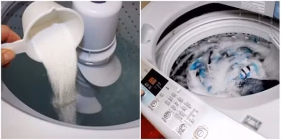 Bỏ lòng trắng trứng gà lên áo mốc, tưởng phí của giời ai ngờ hời to-2