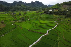 Ở độ cao hơn 1.200m, Bản Tèn, xã Văn Lăng, tỉnh Thái Nguyên từng là địa bàn đặc biệt khó khăn với “5 không”: không điện, không đường, không trường, không trạm và không nước sạch. 