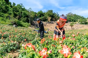 Phát huy vai trò người có uy tín trong vùng đồng bào dân tộc thiểu số ở Thái Nguyên