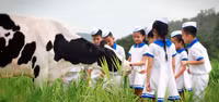 Hành trình 40 năm Giấc Mơ Sữa Việt ảnh 3