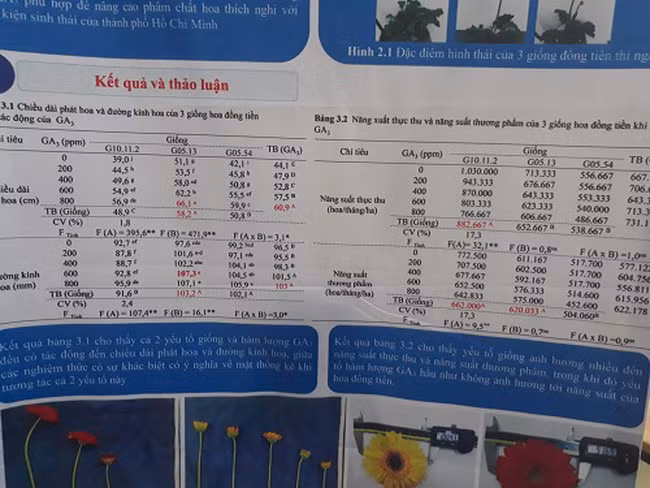 Các kết quả thí nghiệm được thể hiện trên poster.