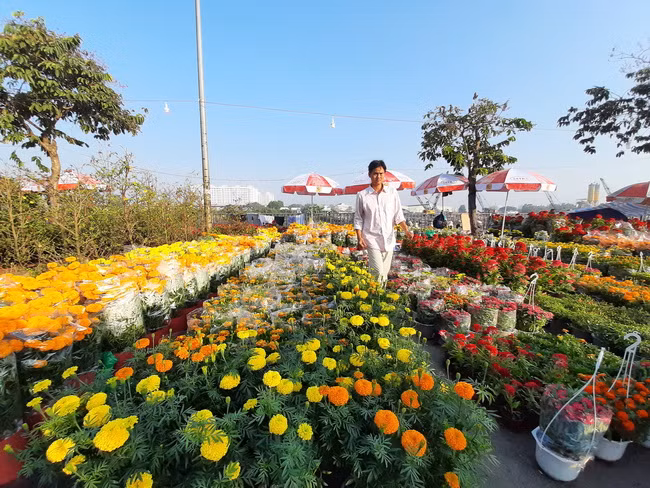 Một chủ vườn hoa kiểng ở Bến Tre mới tập kết hàng chục loại hoa với đủ sắc màu để phục vụ bà con chơi Tết