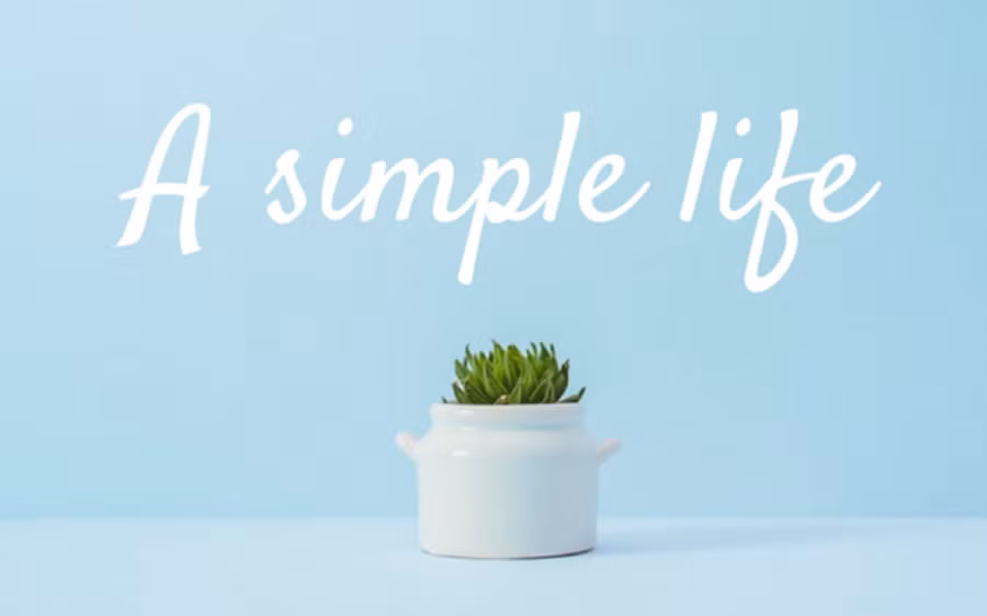 Nguồn: Internet