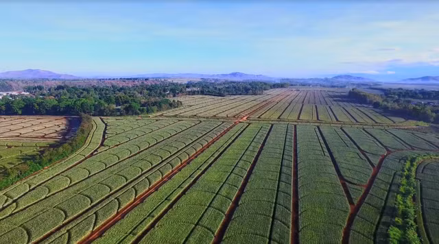 Vinamilk công bố đối tác liên doanh tại Philippines, sản phẩm thương mại sẽ lên kệ vào tháng 9/2021 - Ảnh 3.