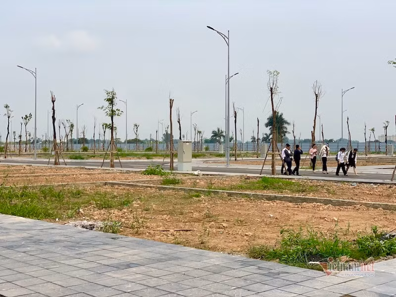 Liên quan Quy hoạch phân khu đô thị sông Hồng, Hà Nội yêu cầu không để xảy ra tình trạng lợi dụng quy hoạch để có các hành vi vi phạm để trục lợi chính sách về đất đai, đầu cơ đất đai, xây dựng các công trình trái phép...(Ảnh: Đất dự án ở Đông Anh (Hà Nội) có giá cả trăm triệu đồng mỗi m2) Giá đất sôi sục khắp nơi, loạt địa phương mạnh tay ‘cắt cơn’ sốt ảo