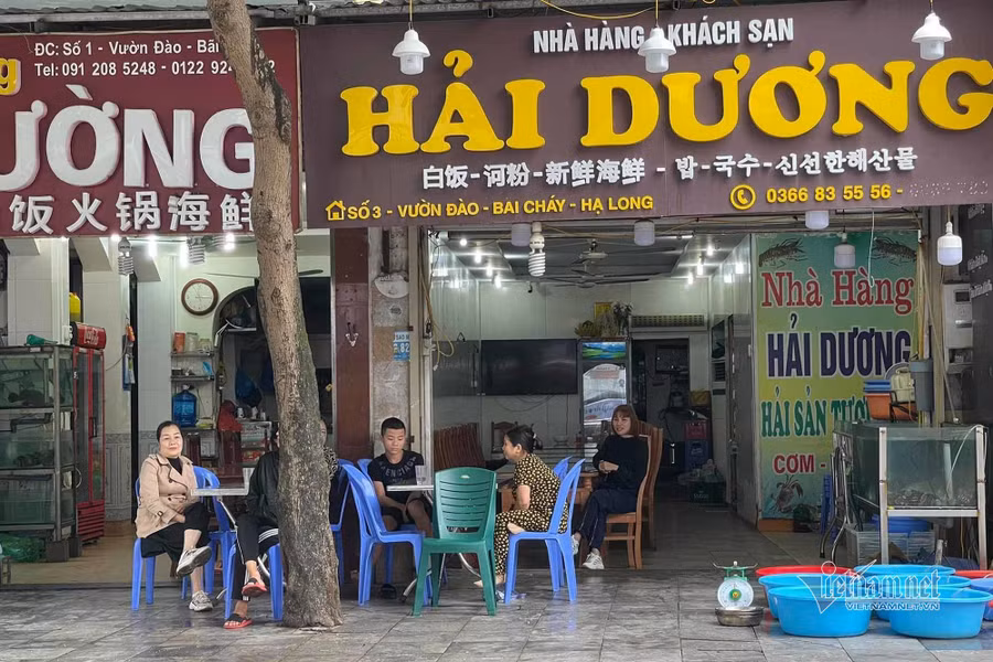 Nhân viên nhà hàng tại phố Vườn Đào ngồi chơi cả ngày vì không có khách. Nhân viên nhà hàng tại phố Vườn Đào ngồi chơi cả ngày vì không có khách.
