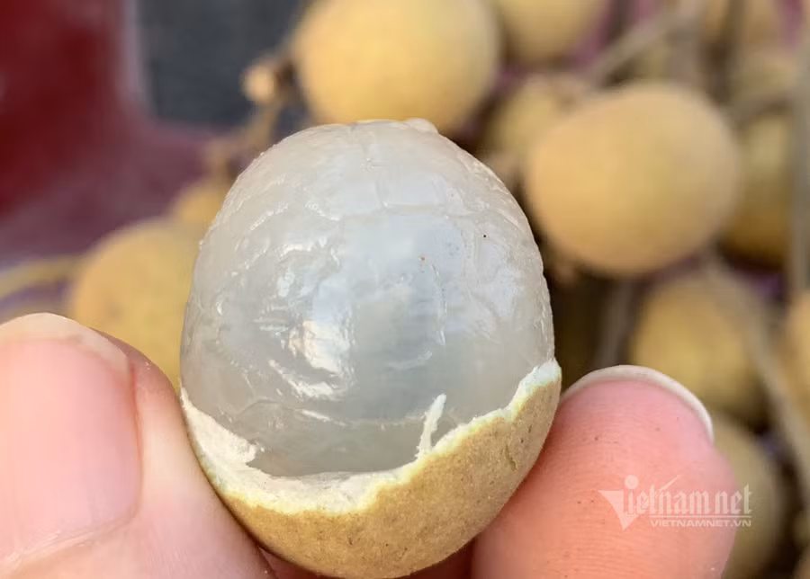 Cùi dày, ăn giòn, độ ngọt cao, hạt màu hơi hồng rất đặc biệt.