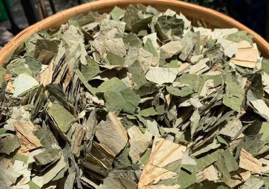 Lá sen khô có nơi bán tới 400.000 đồng/kg. Lá sen khô có nơi bán tới 400.000 đồng/kg.