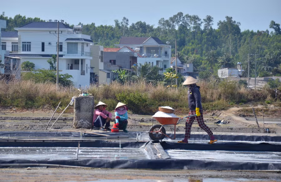 Cũng theo chị Diệu, trong vài năm trở lại đây chưa bao giờ giá muối tăng cao như năm nay. Mọi năm, với hơn 3 sào sau khi trừ chi phí, gia đình chị thu lãi từ 20 đến 40 triệu đồng. Trong những tháng tới nếu giá muối vẫn giữ được như đầu tháng 6 thì thu nhập năm nay dự sẽ tăng.