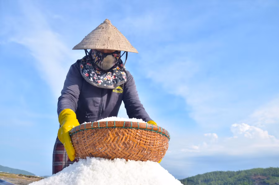 Lý giải cho việc giá muối tăng cao, chị Diệu chia sẻ, cao điểm vụ muối hằng năm là vào mùa nắng độ tháng 3 đến tháng 8, năng suất nhất là vào tháng 5 và tháng 6 nhưng năm nay do thời tiết ở hai tháng cao điểm trên diễn biến thất thường nên mới có việc được giá mất mùa.