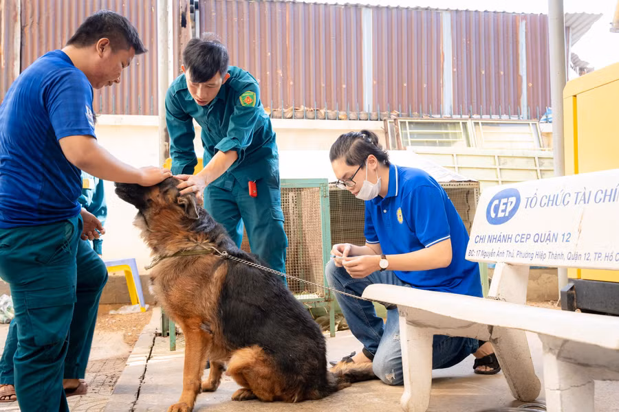 Sinh viên tiêm phòng bệnh dại cho vật nuôi. (Ảnh: HUTECH) Sinh viên tiêm phòng bệnh dại cho vật nuôi. (Ảnh: HUTECH)