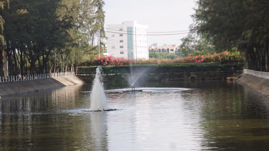 Giàn hoa giấy nhìn từ đài phun nước ở con kênh nằm trong khuôn viên trường. Giàn hoa giấy nhìn từ đài phun nước ở con kênh nằm trong khuôn viên trường.