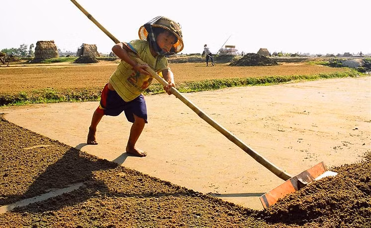 Bổ sung nhiều quy định về quyền trẻ em vào Bộ luật Lao động (sửa đổi)