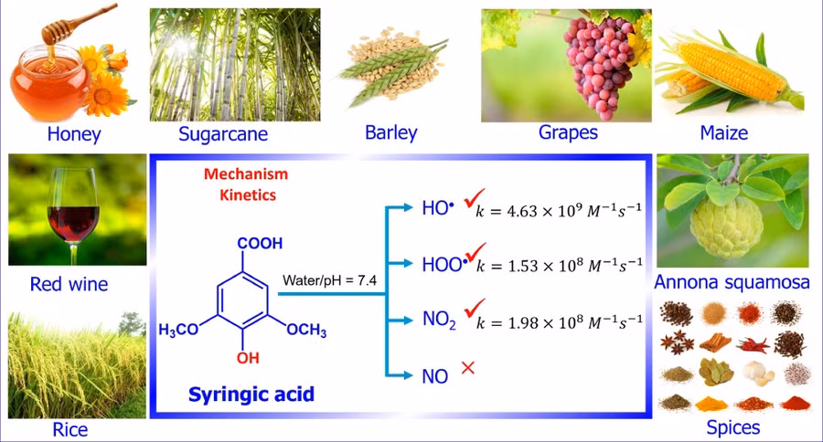 Tranh bìa của bài báo trên tạp chí Journal of Organic chemistry.