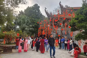Người dân đi lễ tại Chùa Hà (TP Vĩnh Yên, Vĩnh Phúc) ngày đầu năm.