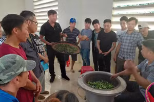 Các học viên được đào tạo gắn với thực tế sản xuất.