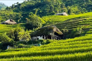 Sự trù phú nơi biên cương Tuyên Quang giúp người dân ngày càng no ấm.