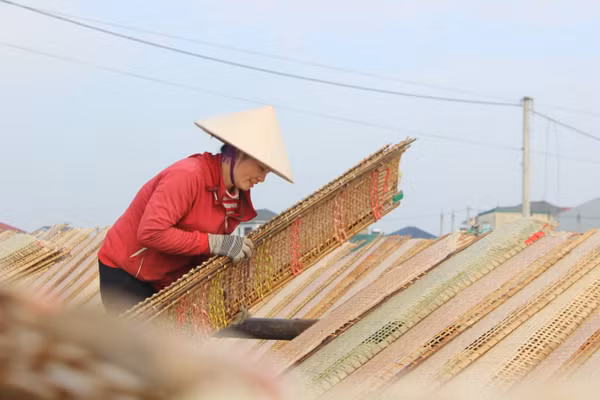 Hà Tĩnh đặt mục tiêu đào tạo hơn 10.000 lao động nông thôn giai đoạn 2026-2030.