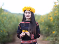 Thiếu nữ Gia Lai rạng rỡ bên mùa hoa dã quỳ.