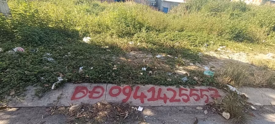 5452fb88b844001a5955.jpg