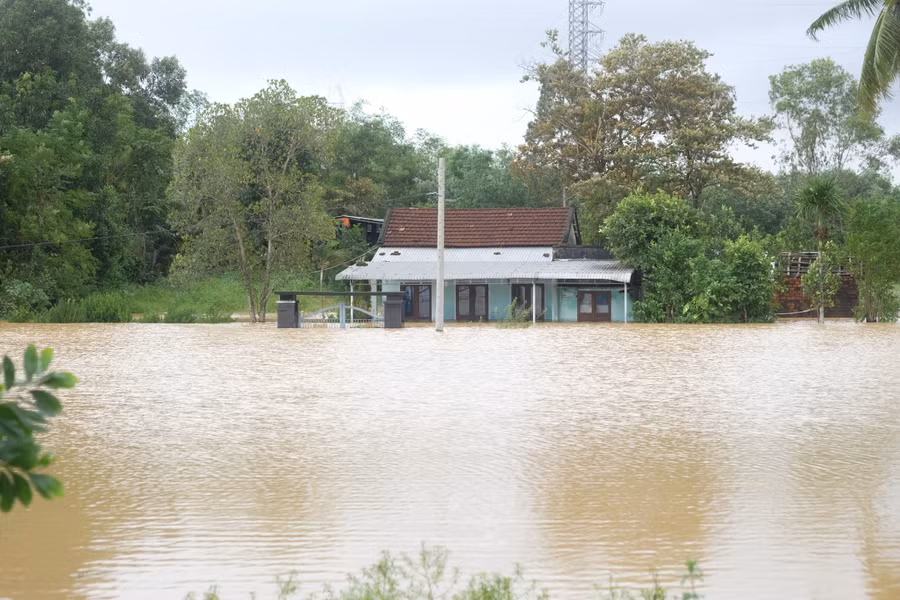 dscf5917.jpg