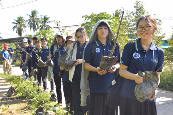 Sinh viên Đại học Trà Vinh ra quân trồng hơn 1.000 cây bần ven sông.