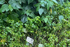 Hiện trường nơi xảy ra vụ việc.