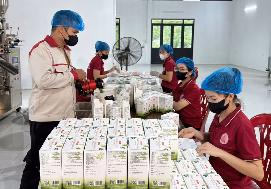 HTX Nông nghiệp Tiên Phong tạo việc làm thường xuyên cho gần 20 lao động địa phương,