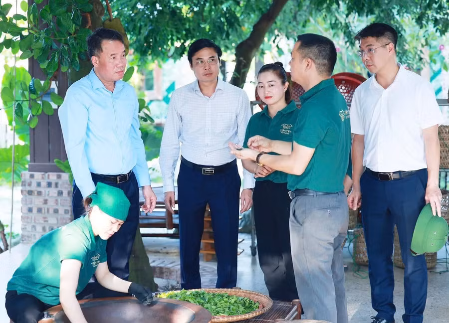 tan-cuong.jpg