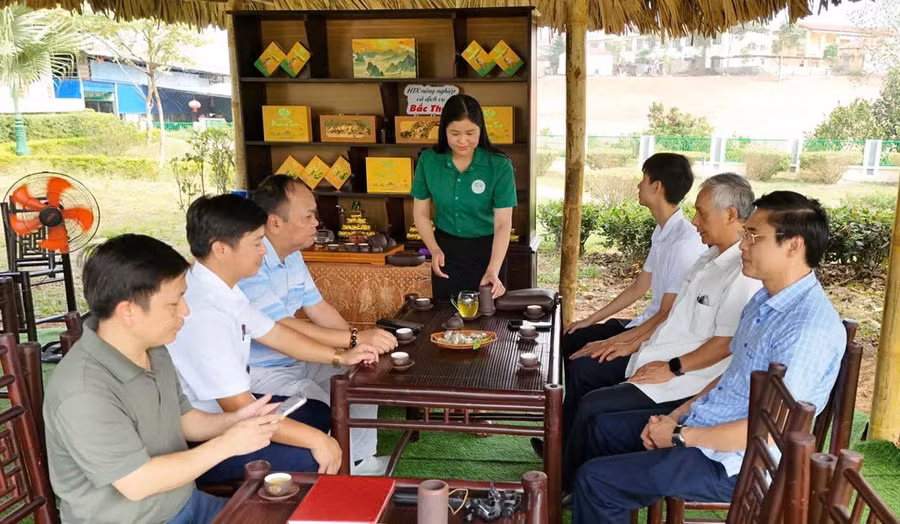 tan-cuong-5865.jpg