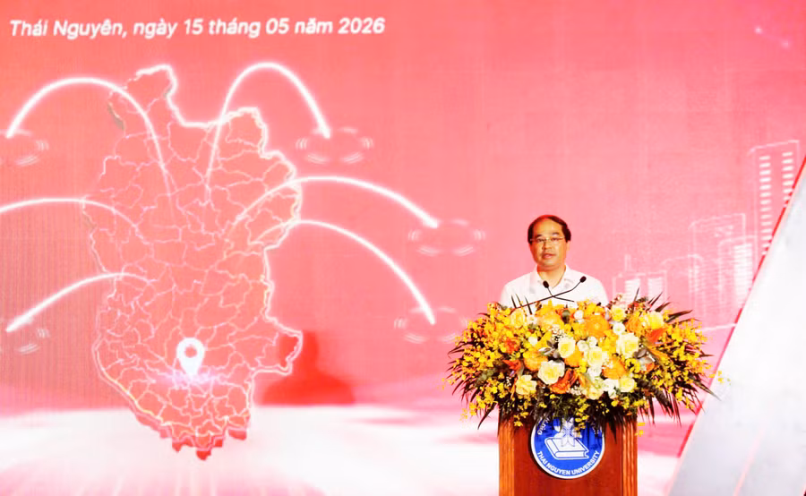 ed463fc6cbd84a8613c9.jpg
