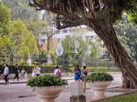 9-3558.jpg