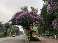 b8.jpg