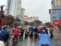 m1.jpg
