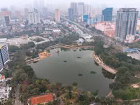 n1.jpg