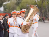 c5.jpg