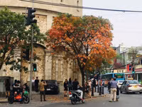 l1.jpg