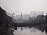 a1.jpg