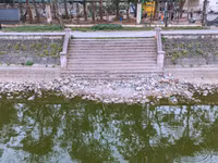 n2.jpg